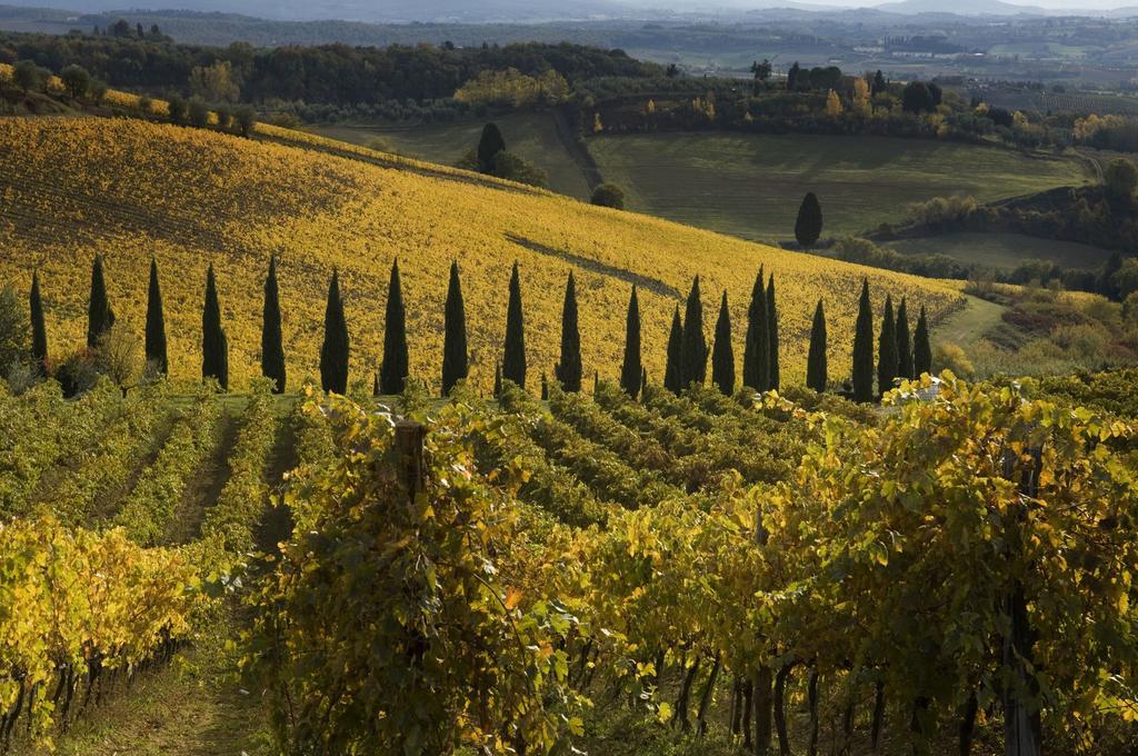 Agriturismo Campo Lungo San Donato in Poggio Phòng bức ảnh